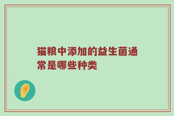 猫粮中添加的益生菌通常是哪些种类