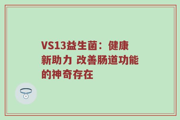 VS13益生菌：健康新助力 改善肠道功能的神奇存在