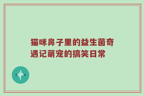 猫咪鼻子里的益生菌奇遇记萌宠的搞笑日常