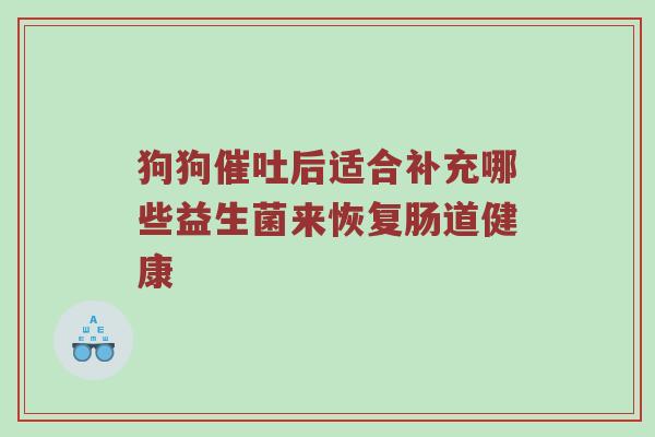 狗狗催吐后适合补充哪些益生菌来恢复肠道健康
