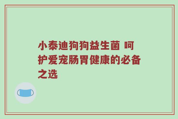 小泰迪狗狗益生菌 呵护爱宠肠胃健康的必备之选