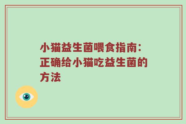 小猫益生菌喂食指南：正确给小猫吃益生菌的方法