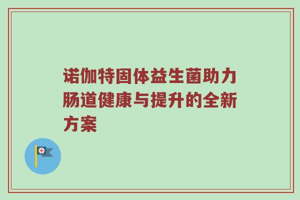 诺伽特固体益生菌助力肠道健康与提升的全新方案