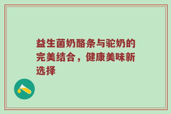益生菌奶酪条与驼奶的完美结合，健康美味新选择