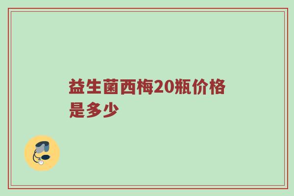 益生菌西梅20瓶价格是多少