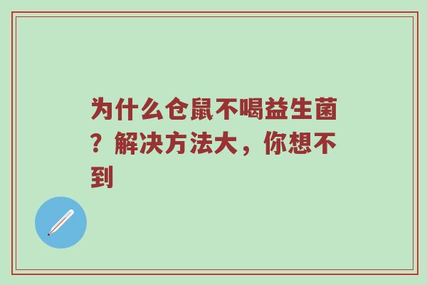 为什么仓鼠不喝益生菌？解决方法大，你想不到