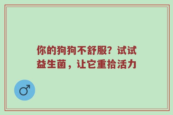 你的狗狗不舒服？试试益生菌，让它重拾活力