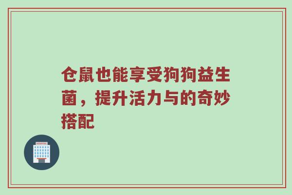 仓鼠也能享受狗狗益生菌，提升活力与的奇妙搭配