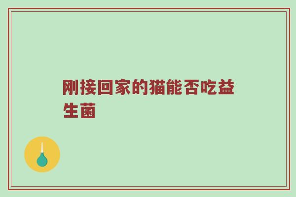 刚接回家的猫能否吃益生菌