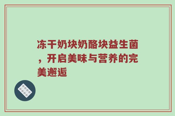 冻干奶块奶酪块益生菌，开启美味与营养的完美邂逅