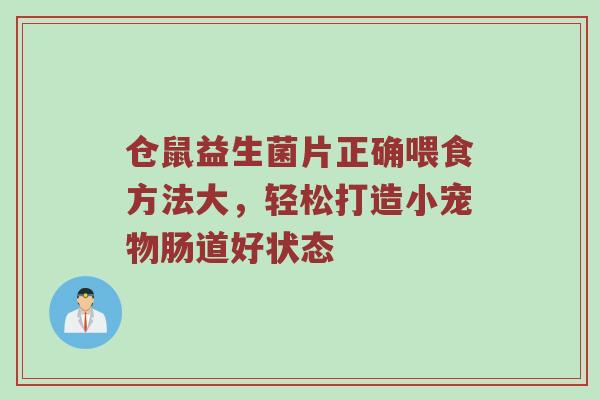 仓鼠益生菌片正确喂食方法大，轻松打造小宠物肠道好状态