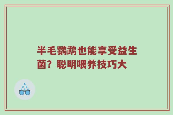 半毛鹦鹉也能享受益生菌？聪明喂养技巧大