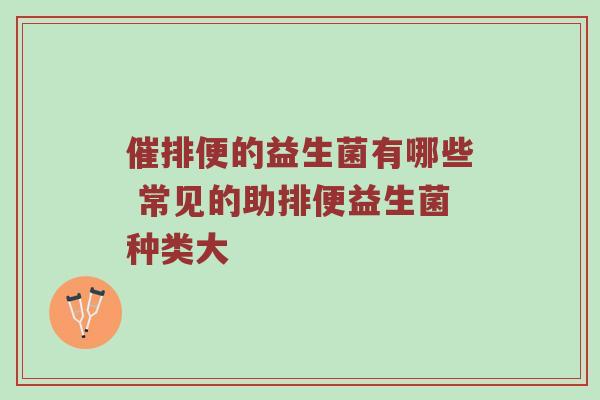 催排便的益生菌有哪些 常见的助排便益生菌种类大