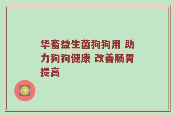华畜益生菌狗狗用 助力狗狗健康 改善肠胃提高