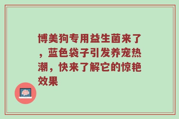 博美狗专用益生菌来了，蓝色袋子引发养宠热潮，快来了解它的惊艳效果