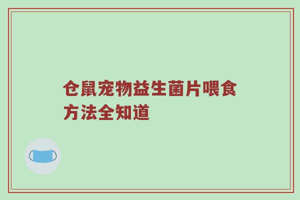 仓鼠宠物益生菌片喂食方法全知道