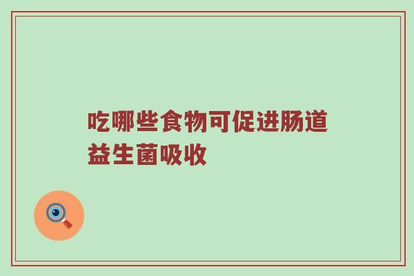 吃哪些食物可促进肠道益生菌吸收
