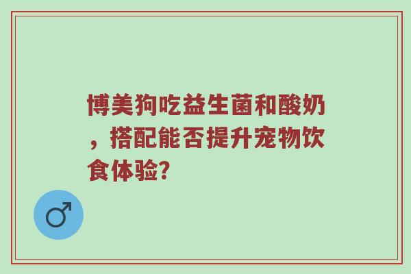 博美狗吃益生菌和酸奶，搭配能否提升宠物饮食体验？