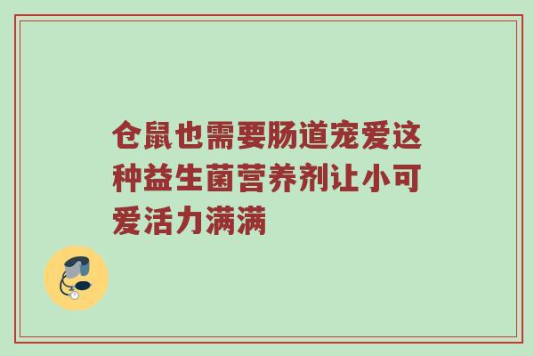 仓鼠也需要肠道宠爱这种益生菌营养剂让小可爱活力满满