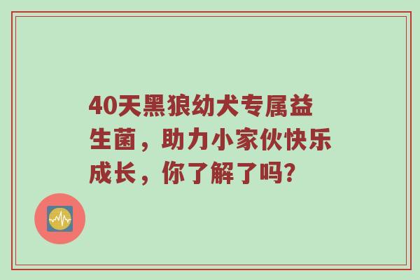 40天黑狼幼犬专属益生菌，助力小家伙快乐成长，你了解了吗？