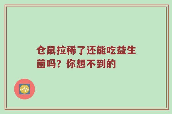 仓鼠拉稀了还能吃益生菌吗？你想不到的