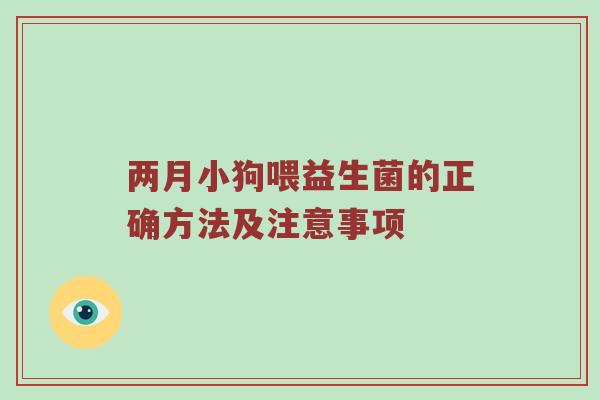两月小狗喂益生菌的正确方法及注意事项
