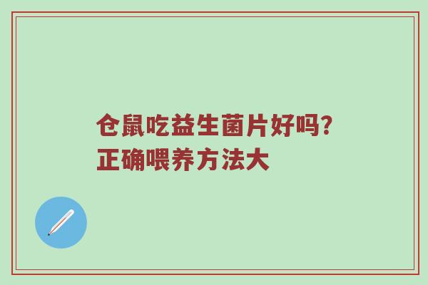 仓鼠吃益生菌片好吗？正确喂养方法大
