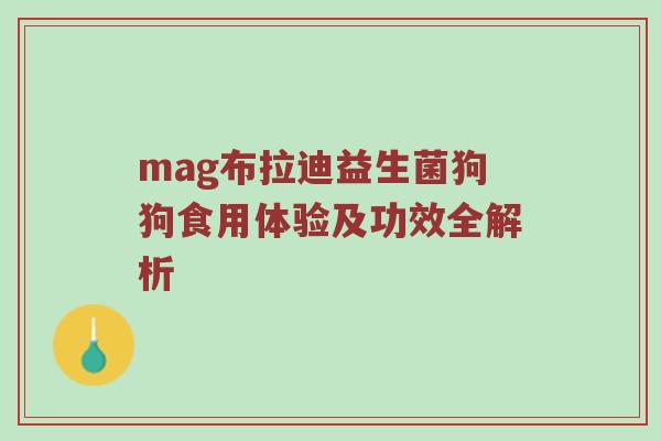 mag布拉迪益生菌狗狗食用体验及功效全解析
