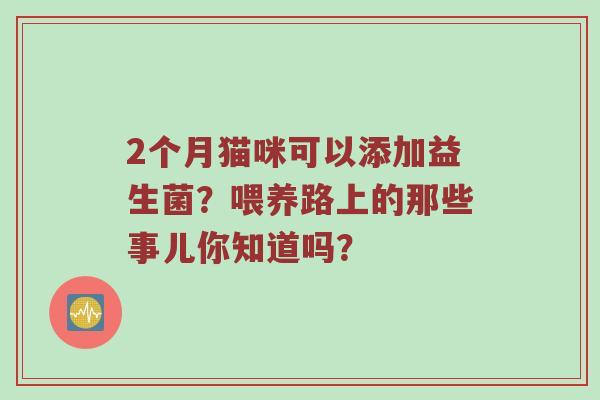 2个月猫咪可以添加益生菌？喂养路上的那些事儿你知道吗？