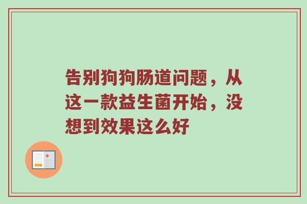 告别狗狗肠道问题，从这一款益生菌开始，没想到效果这么好