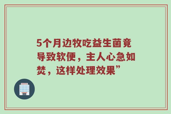 5个月边牧吃益生菌竟导致软便，主人心急如焚，这样处理效果”