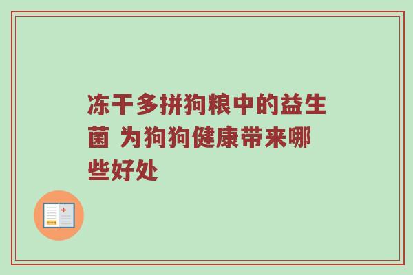 冻干多拼狗粮中的益生菌 为狗狗健康带来哪些好处