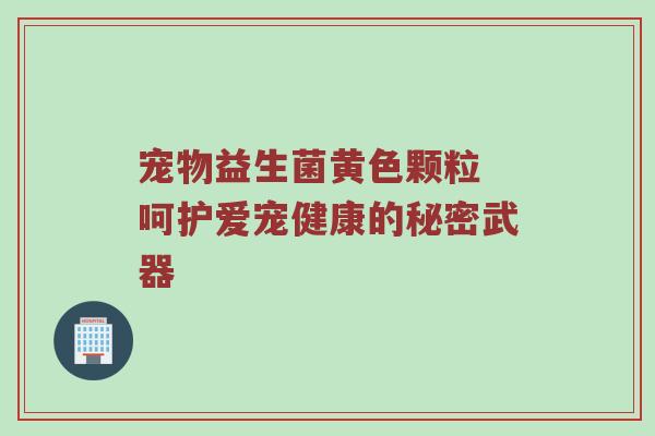 宠物益生菌黄色颗粒 呵护爱宠健康的秘密武器