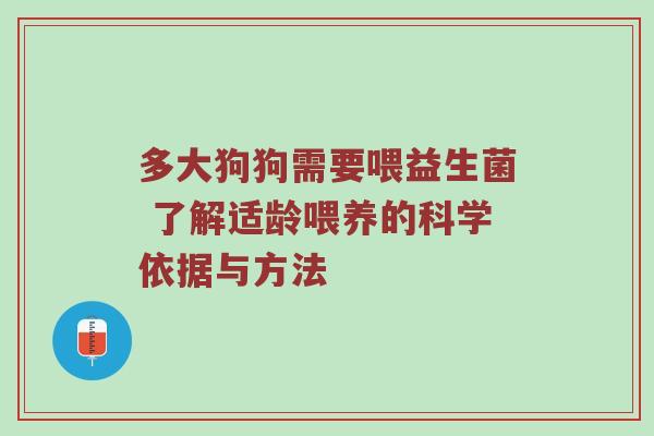 多大狗狗需要喂益生菌 了解适龄喂养的科学依据与方法