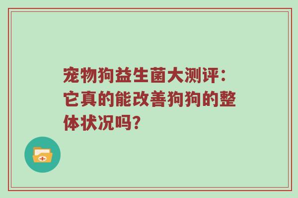 宠物狗益生菌大测评：它真的能改善狗狗的整体状况吗？