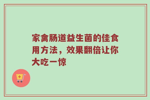家禽肠道益生菌的佳食用方法，效果翻倍让你大吃一惊