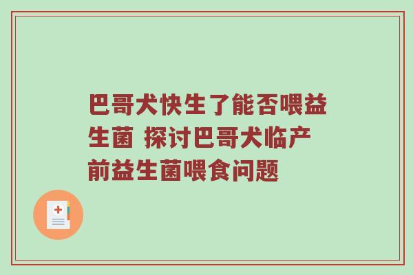 巴哥犬快生了能否喂益生菌 探讨巴哥犬临产前益生菌喂食问题