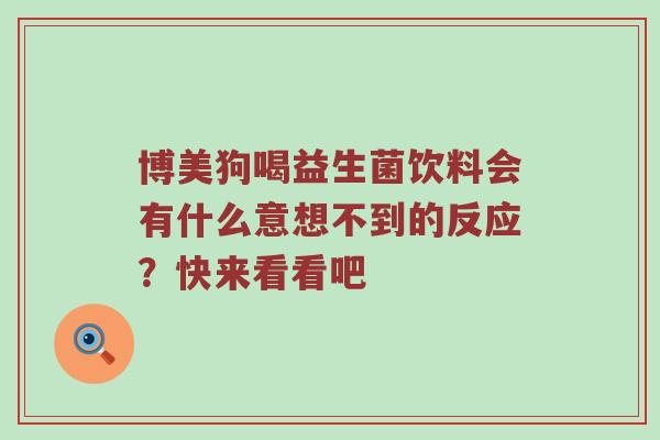 博美狗喝益生菌饮料会有什么意想不到的反应？快来看看吧
