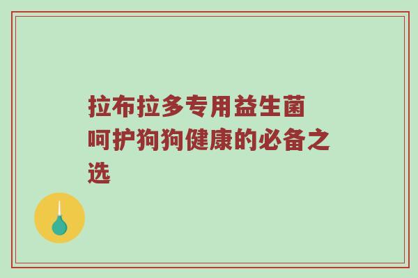 拉布拉多专用益生菌 呵护狗狗健康的必备之选