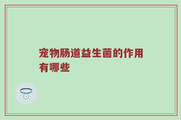 宠物肠道益生菌的作用有哪些