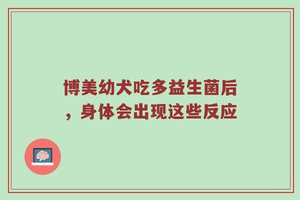 博美幼犬吃多益生菌后，身体会出现这些反应