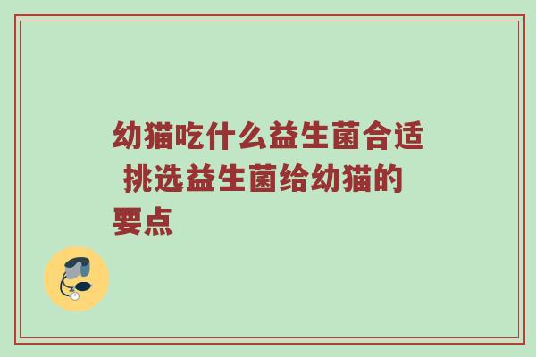 幼猫吃什么益生菌合适 挑选益生菌给幼猫的要点