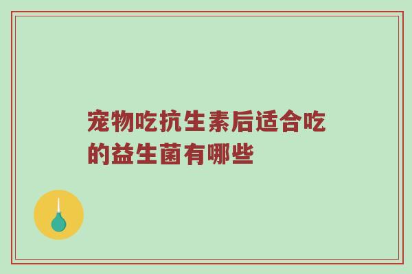 宠物吃抗生素后适合吃的益生菌有哪些