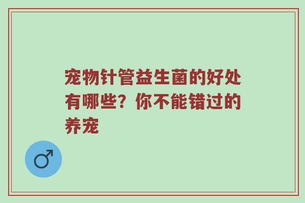 宠物针管益生菌的好处有哪些？你不能错过的养宠