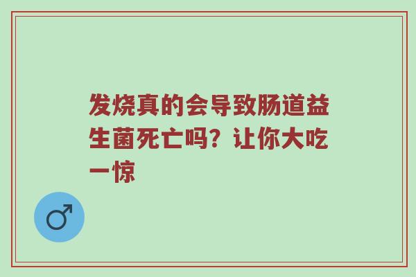 发烧真的会导致肠道益生菌死亡吗？让你大吃一惊