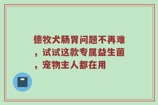 德牧犬肠胃问题不再难，试试这款专属益生菌，宠物主人都在用