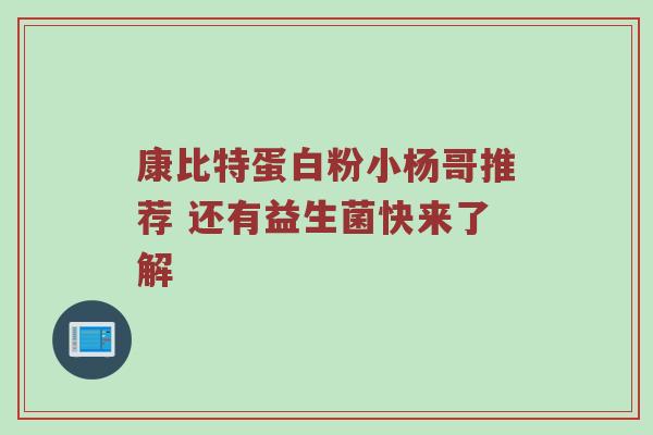 康比特蛋白粉小杨哥推荐 还有益生菌快来了解