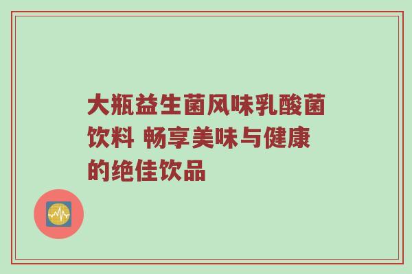 大瓶益生菌风味乳酸菌饮料 畅享美味与健康的绝佳饮品