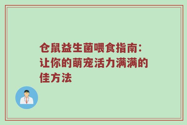 仓鼠益生菌喂食指南：让你的萌宠活力满满的佳方法