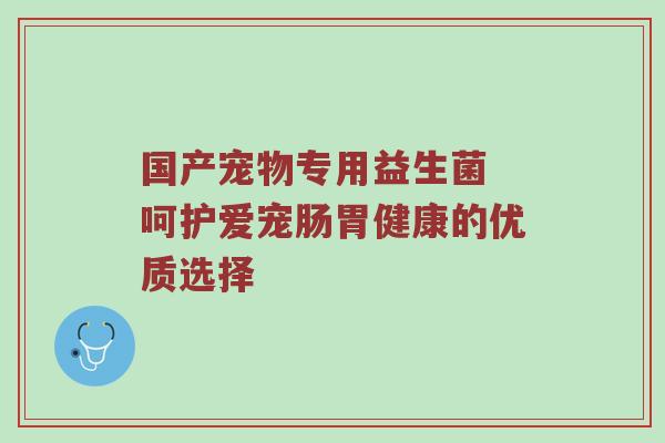 国产宠物专用益生菌 呵护爱宠肠胃健康的优质选择